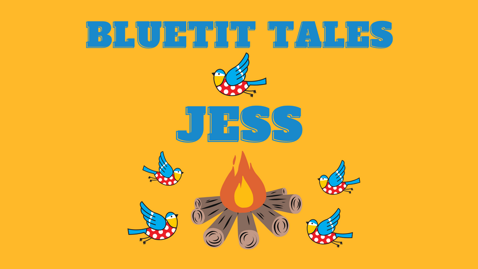 Bluetit Admin Tales - Jess