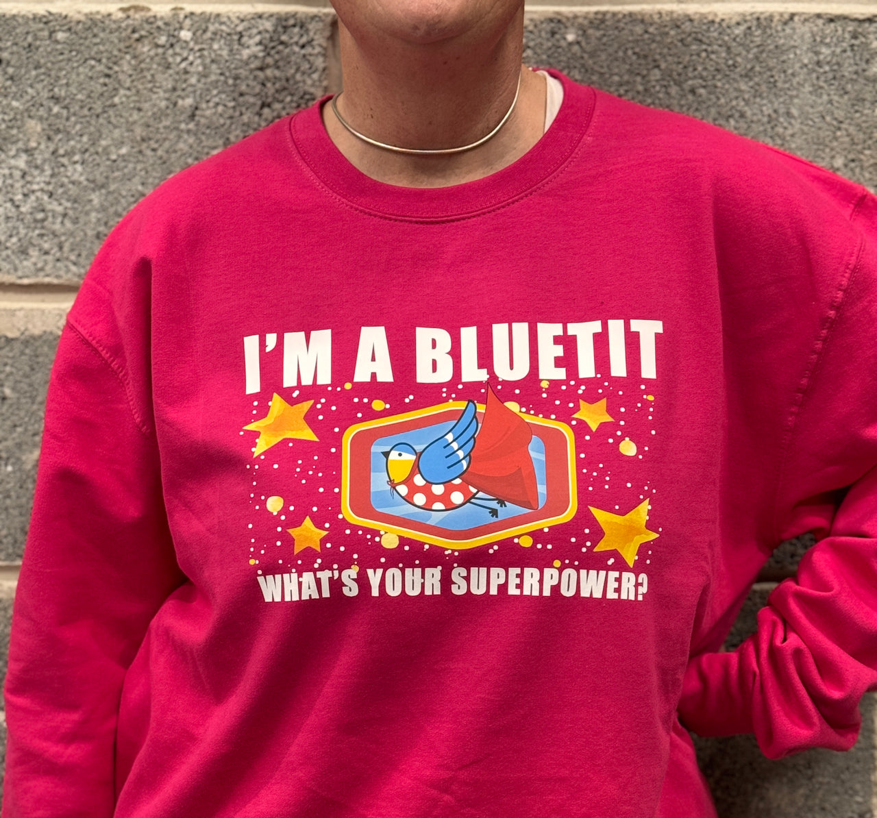 Bluetit Sweatshirt - I'm a Bluetit What's Your Superpower?