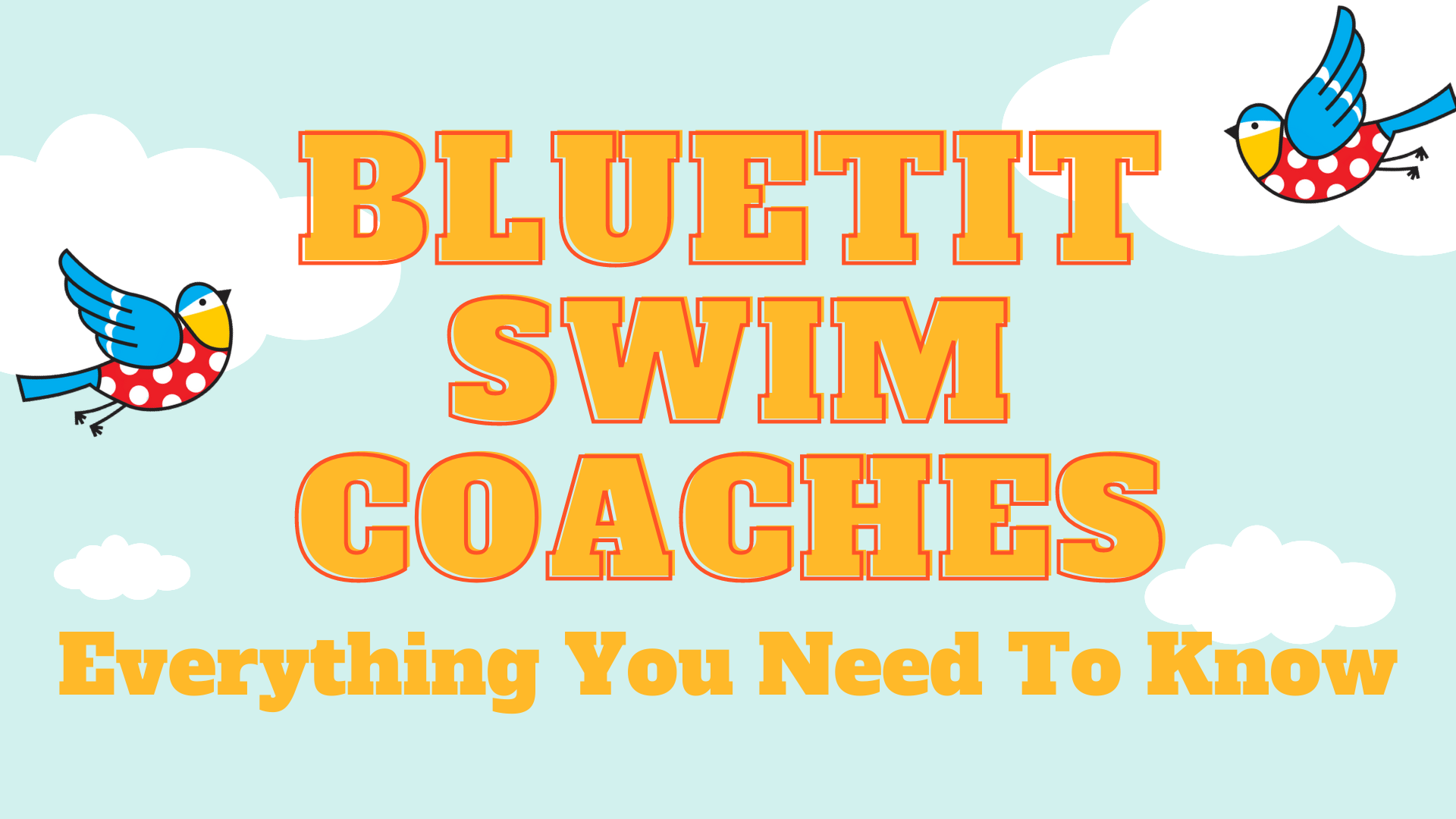 Bluetit Swim Coaches - Everything You Need To Know