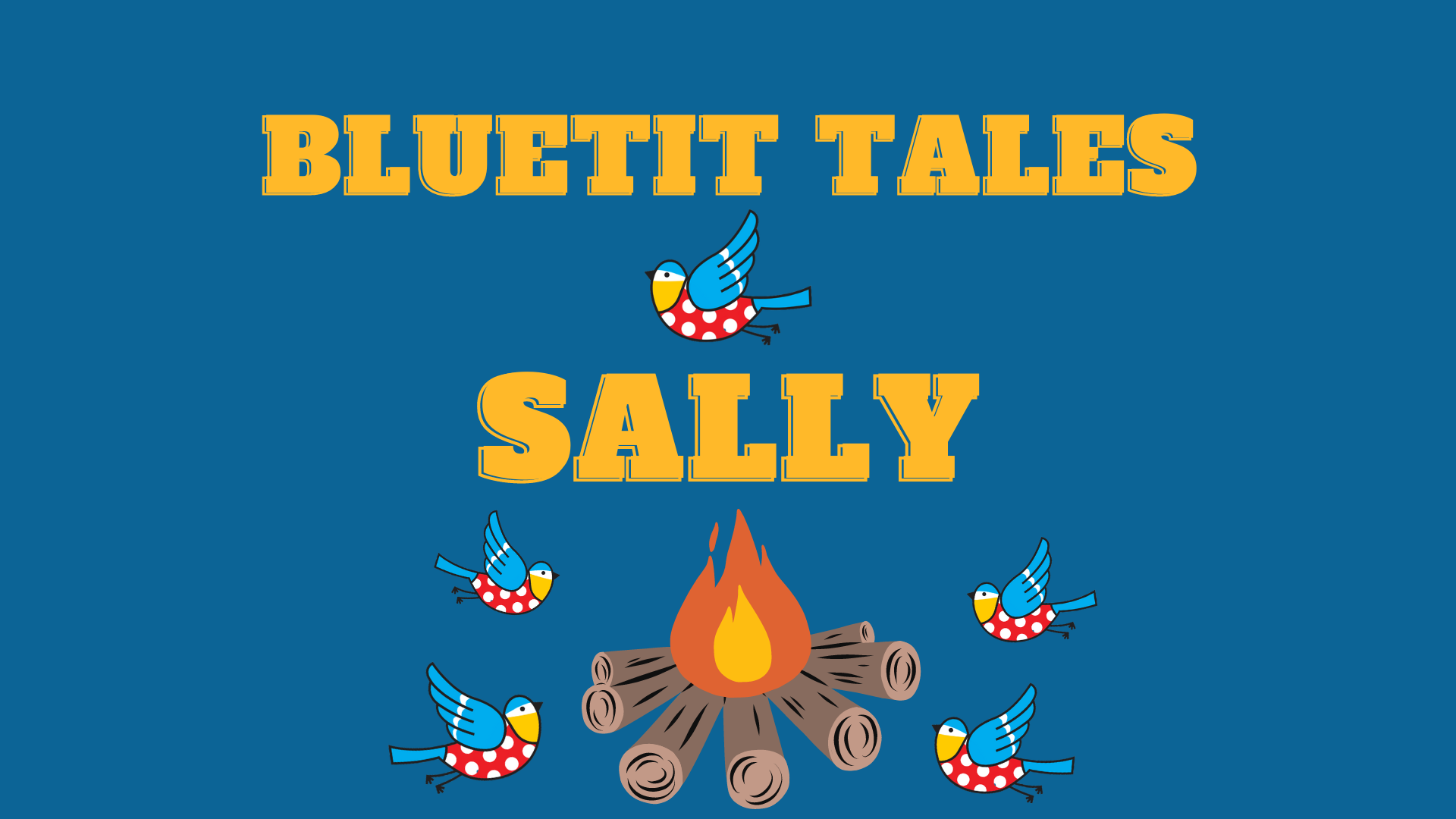 Bluetit Admin Tales - Sally
