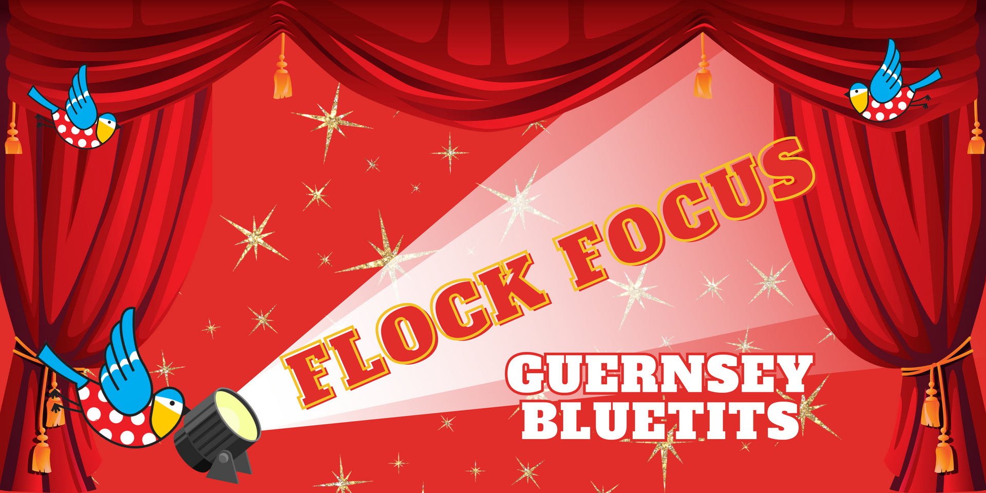 Flock Focus - Guernsey Bluetits