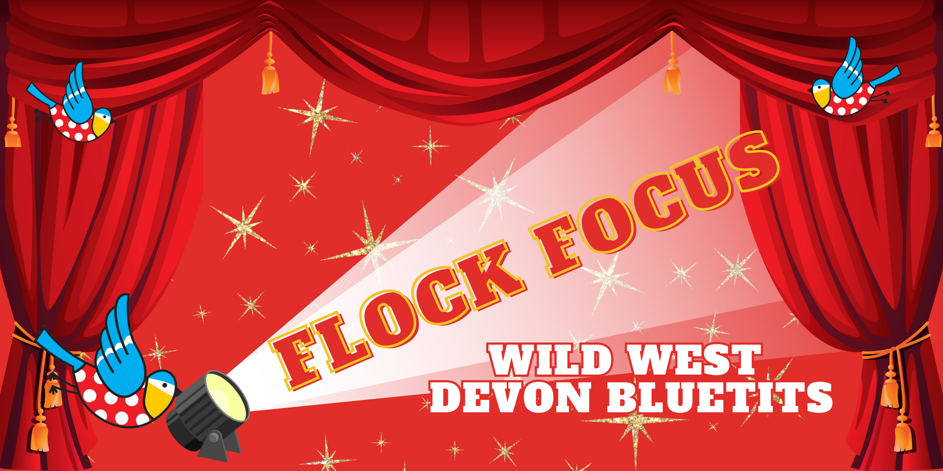 Flock Focus - Wild West Devon Bluetits