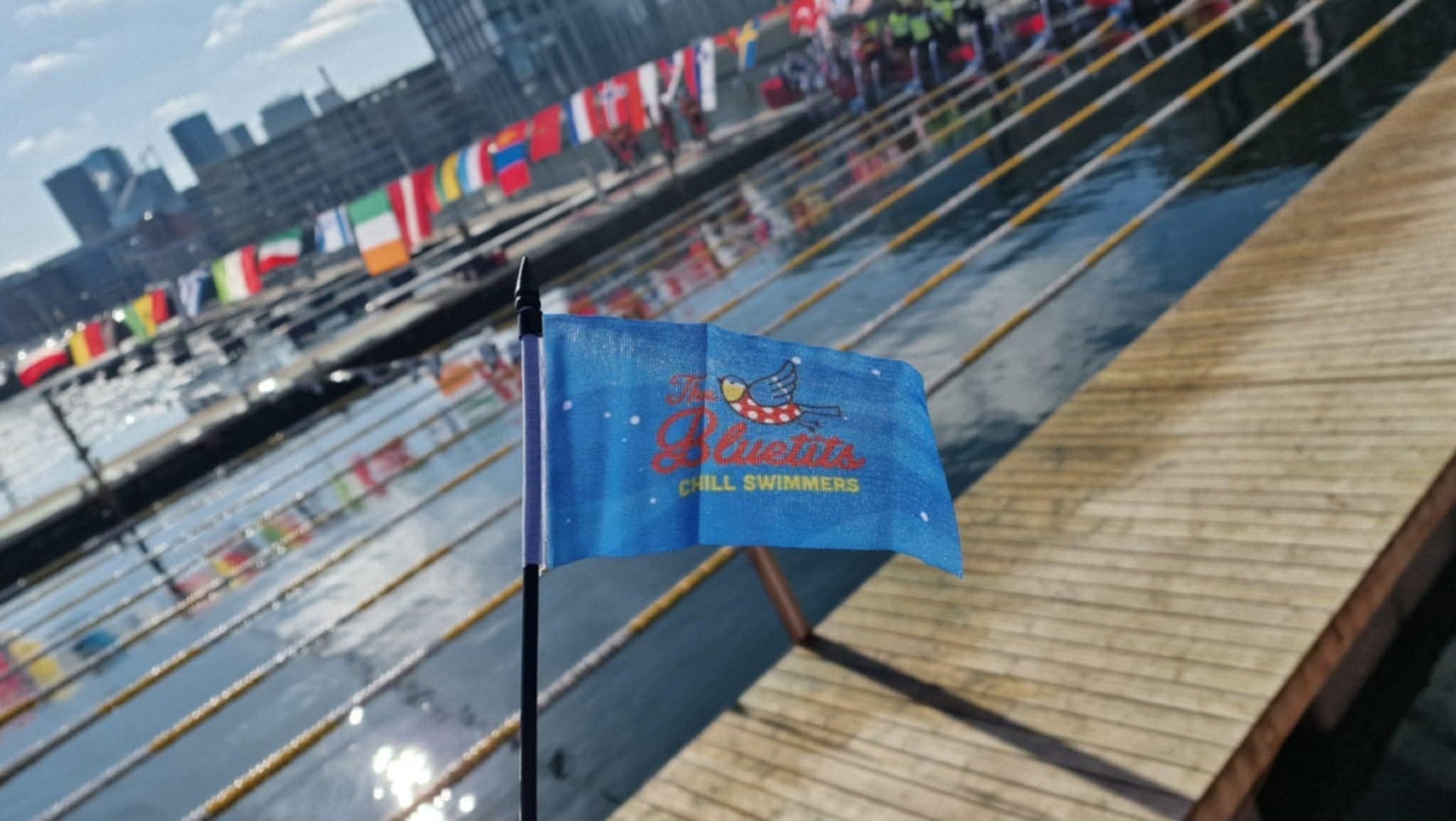 The Global Bluetit Swim Team's upcoming 2026 adventure!