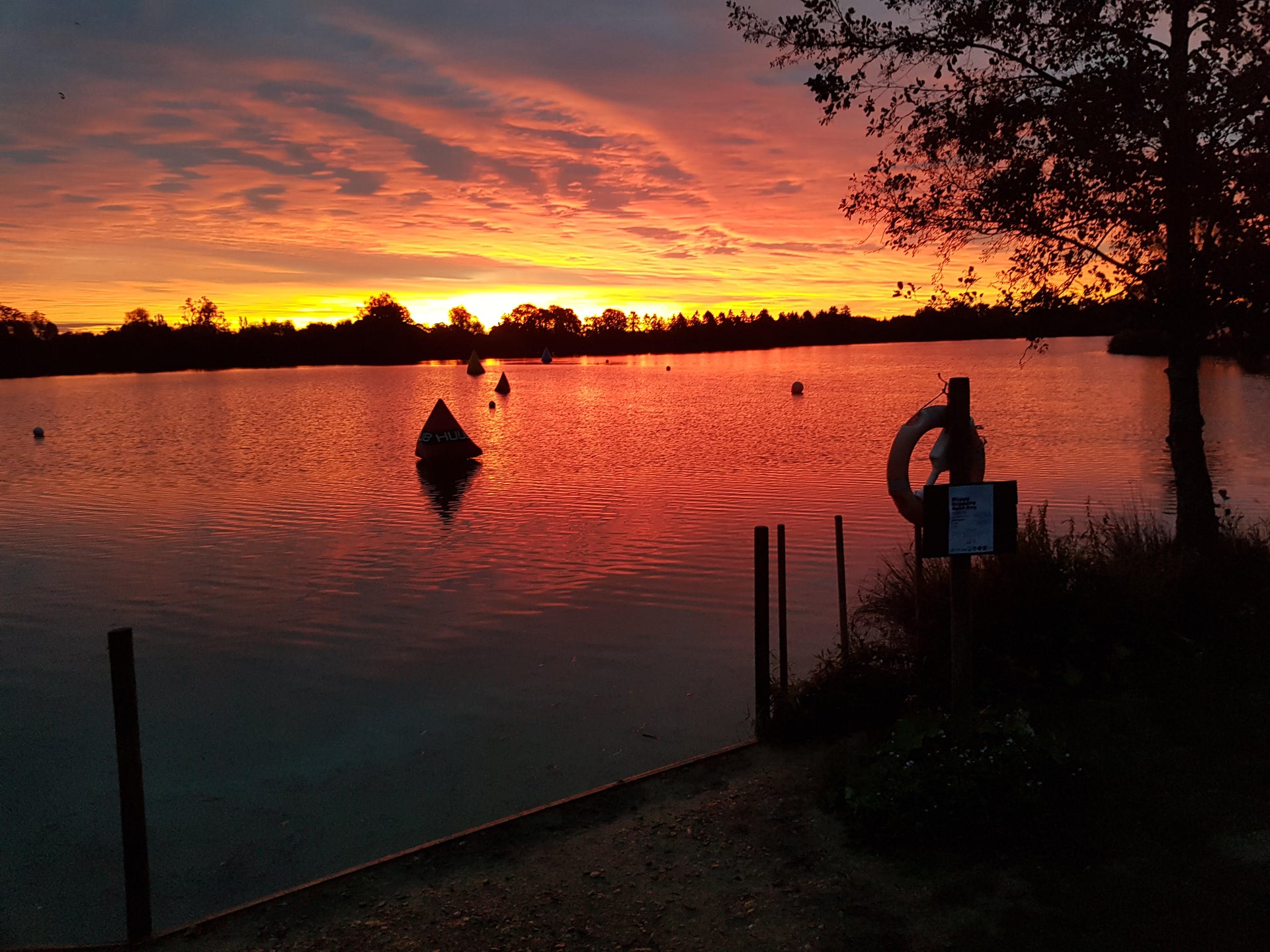 One Bluetit's experience of three years of wild swimming
