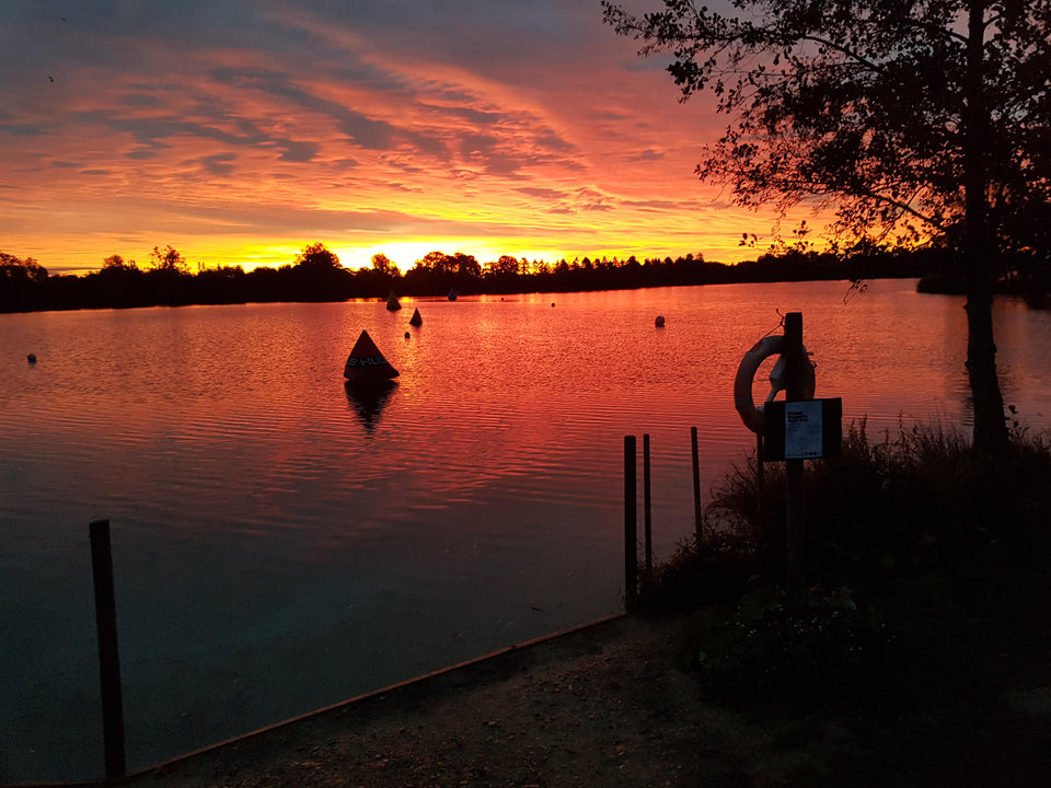 One Bluetit's experience of three years of wild swimming