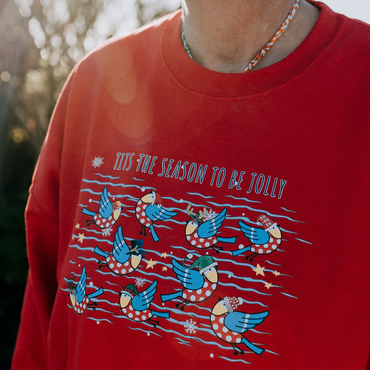 Bluetit Xmas Jumper in Red with slogan "Tits the Season to be Jolly"